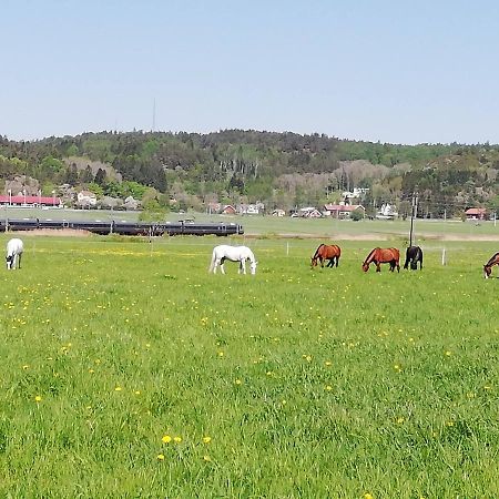 Stuga Pa Hammarbergs Gard Kungsbacka Bagian luar foto