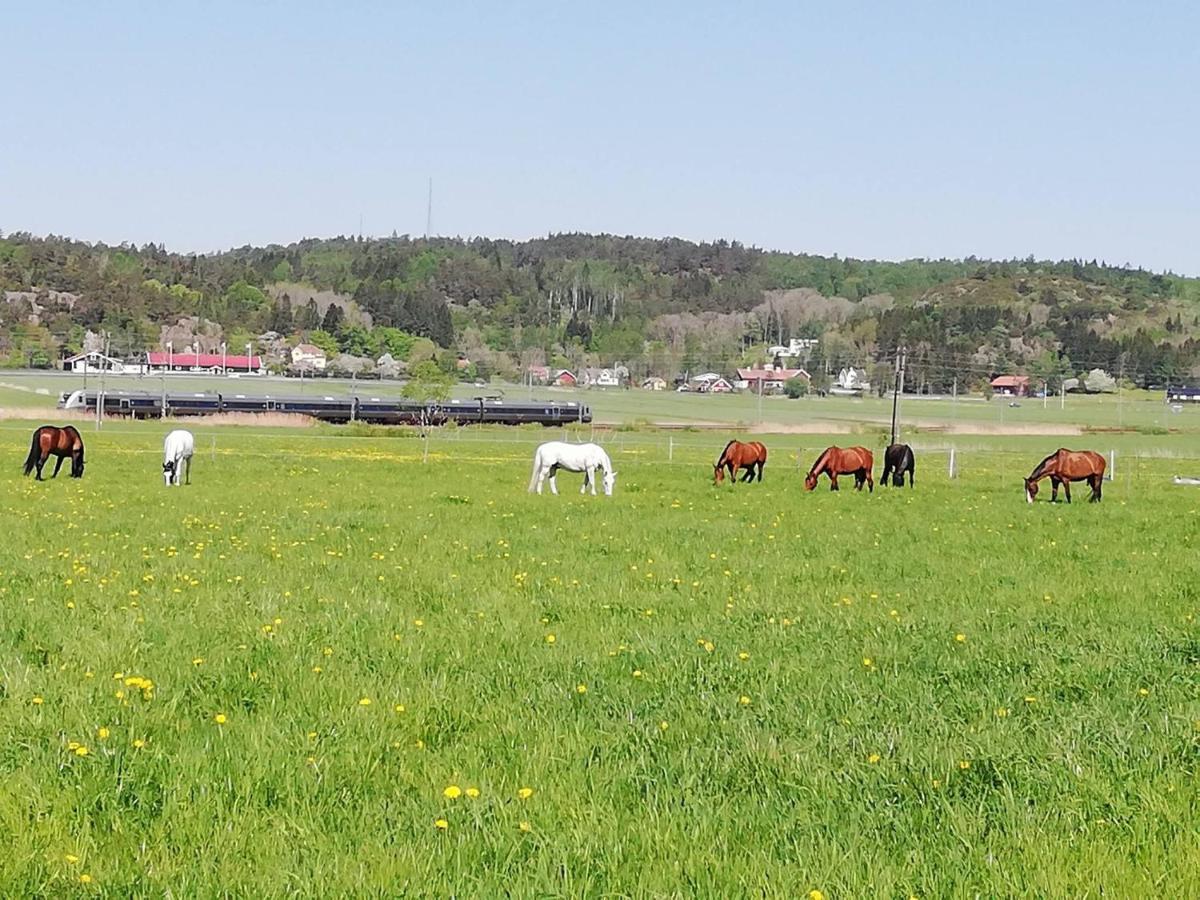 Stuga Pa Hammarbergs Gard Kungsbacka Bagian luar foto